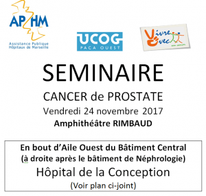 Séminaire cancer prostate marseille 2017 p1