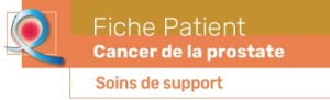 Fiche outil patient cancer prostate soins de support